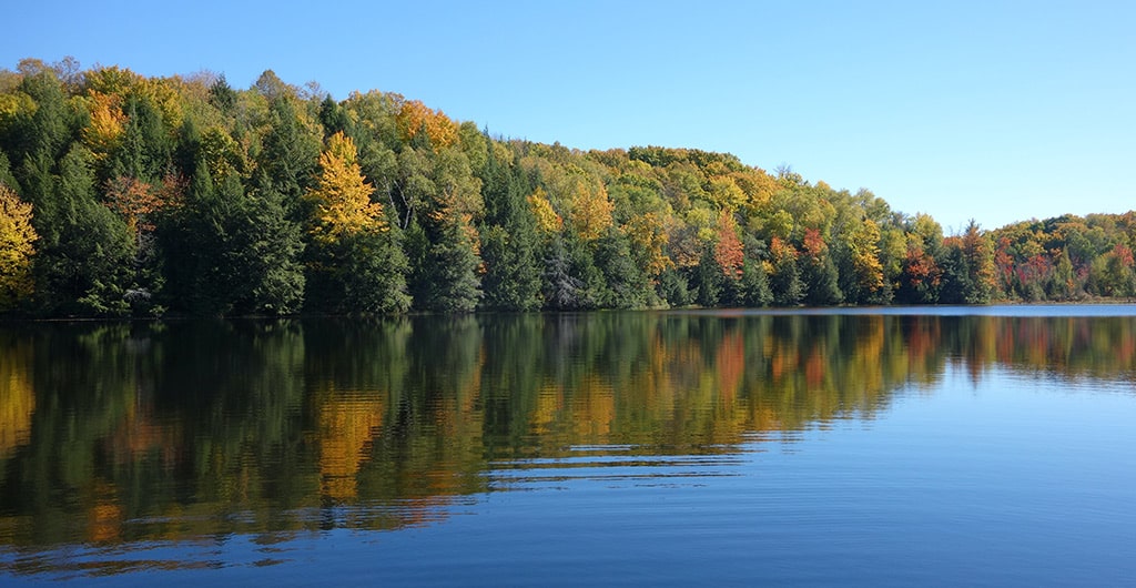 A lake reflecting different coloured trees
