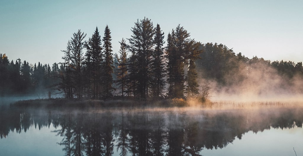 A river in the early morning, with a couple trees in the middle surrounded by fog